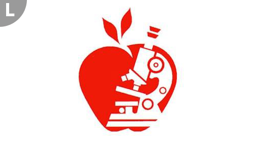 Diabetes Wellness Sverige